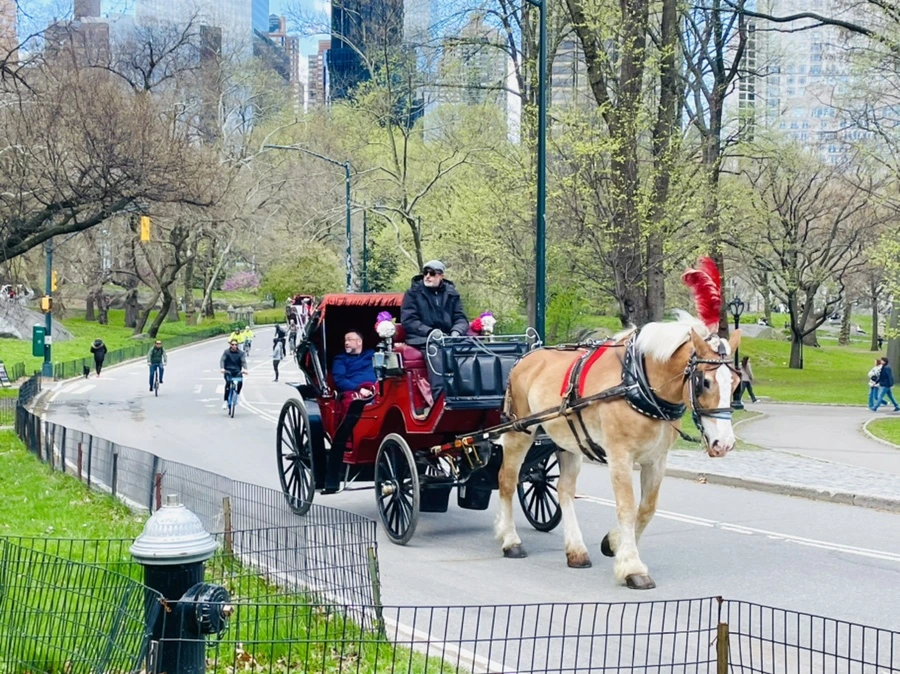 IMG_1125.jpg?type=w966