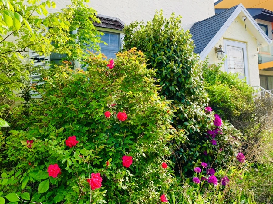 IMG_1088.jpg?type=w966