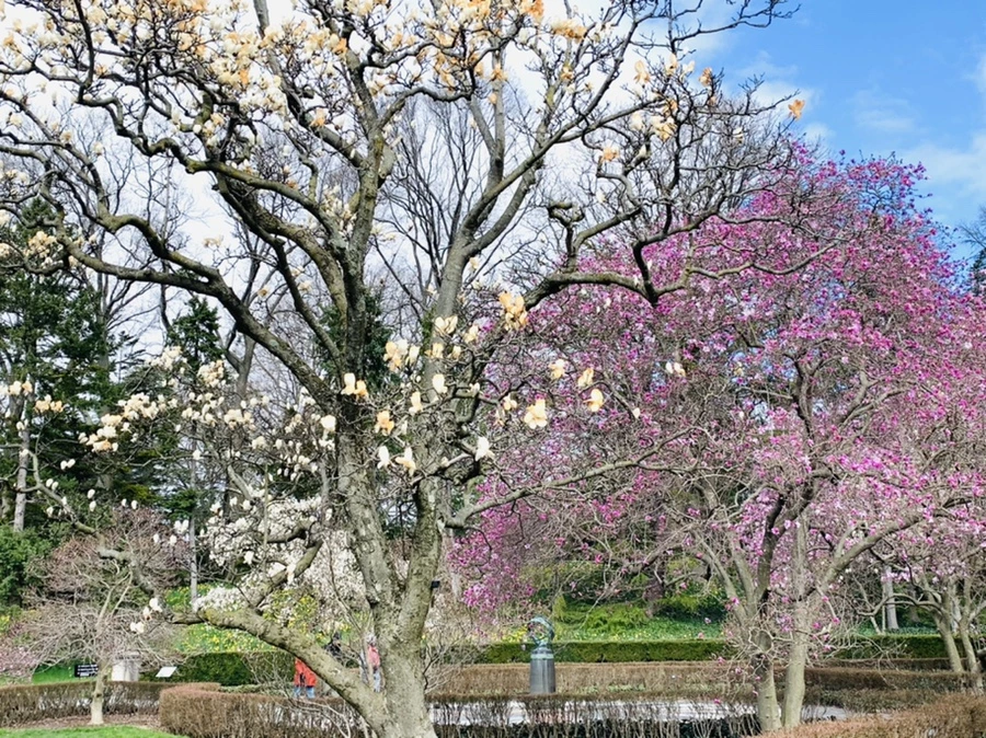 IMG_6525.jpg?type=w966