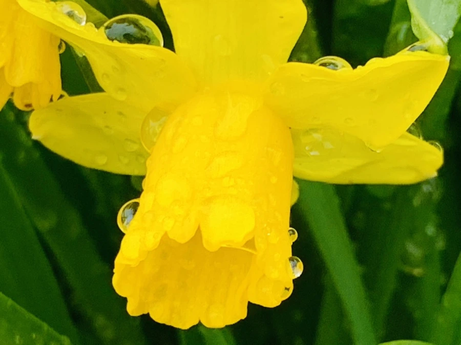 IMG_3755.jpg?type=w966