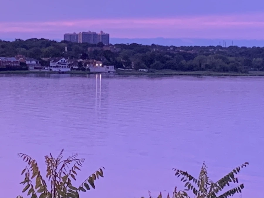 IMG_5858.jpg?type=w966