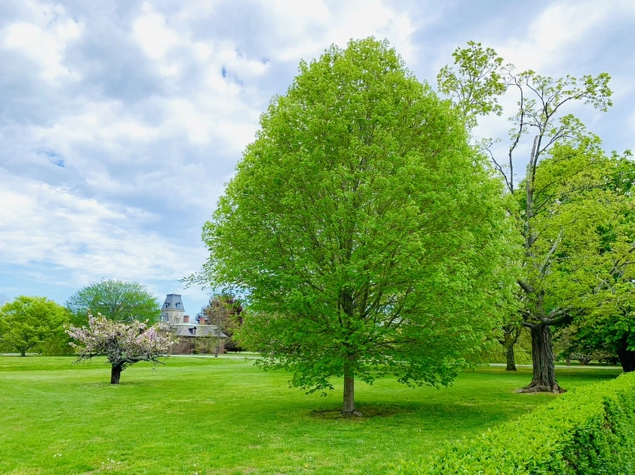 IMG_2719.jpg?type=w966