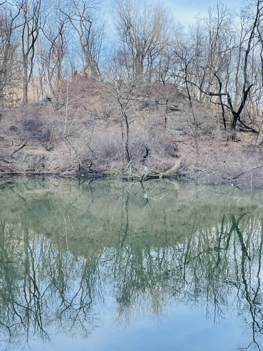 IMG_5384.jpg?type=w966