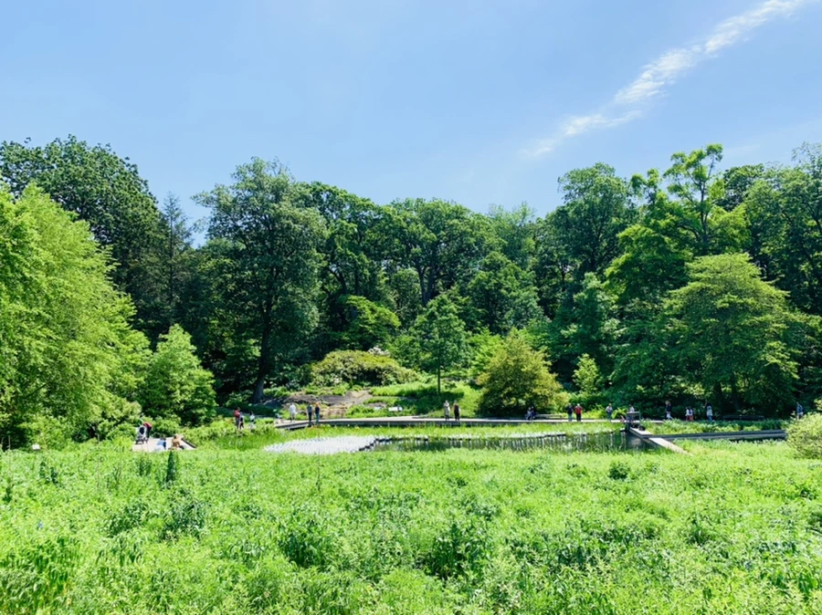 IMG_8439.jpg?type=w966