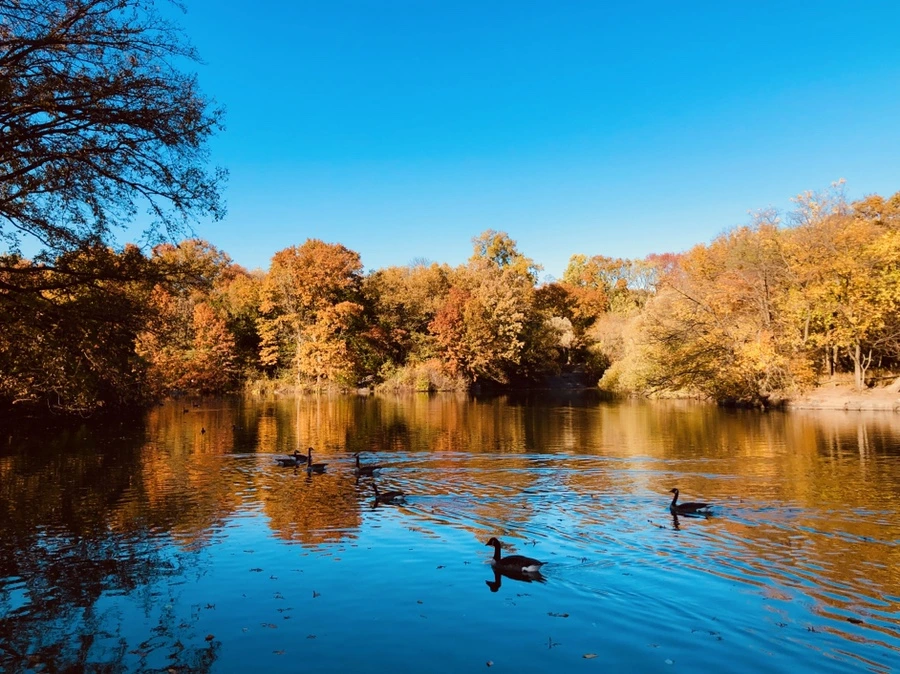 IMG_3550.jpg?type=w966