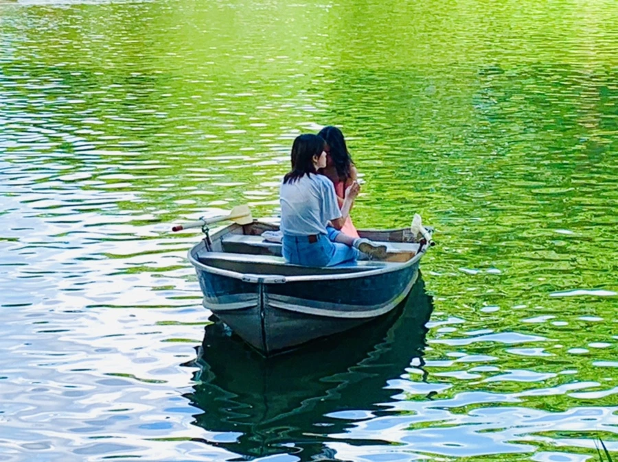 IMG_3490.jpg?type=w966