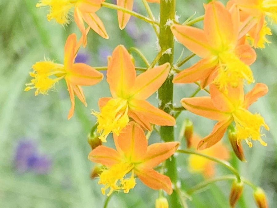 IMG_9474.jpg?type=w966