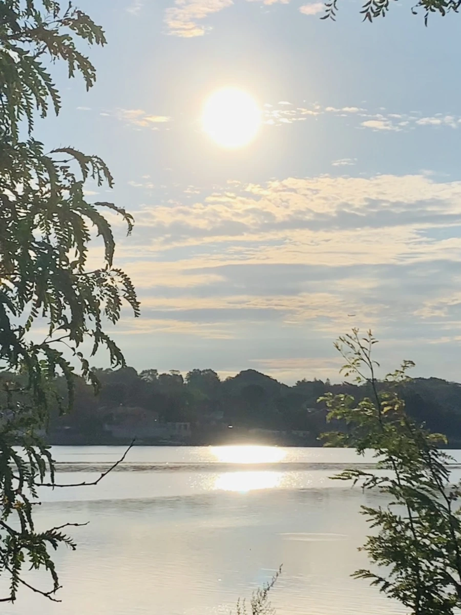 IMG_7782.jpg?type=w966