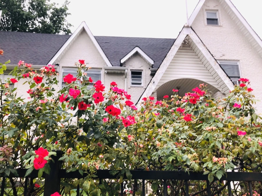 IMG_5833.jpg?type=w966