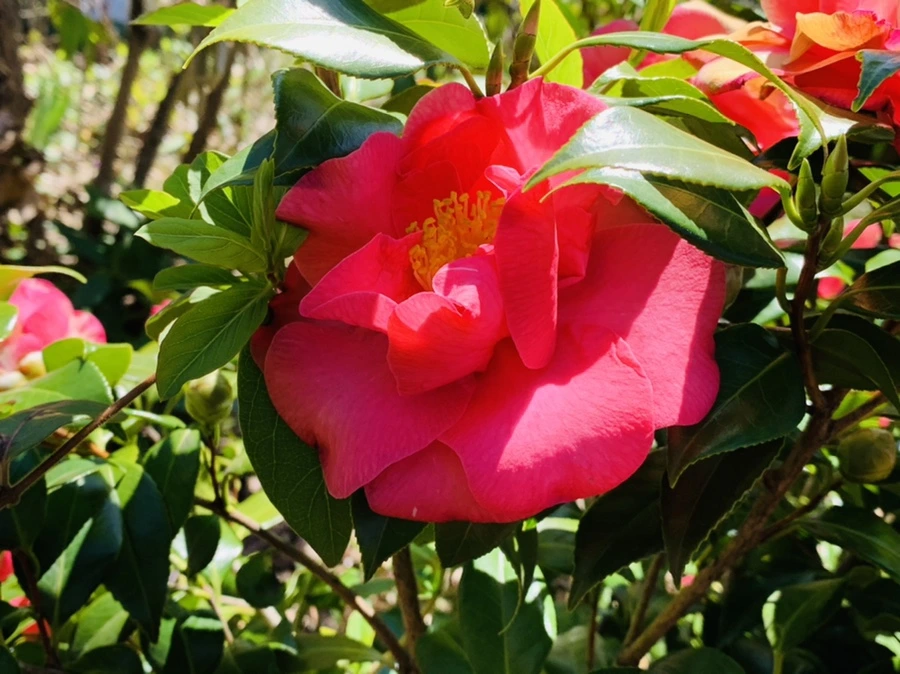 IMG_8192.jpg?type=w966