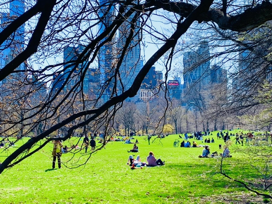 IMG_6865.jpg?type=w966