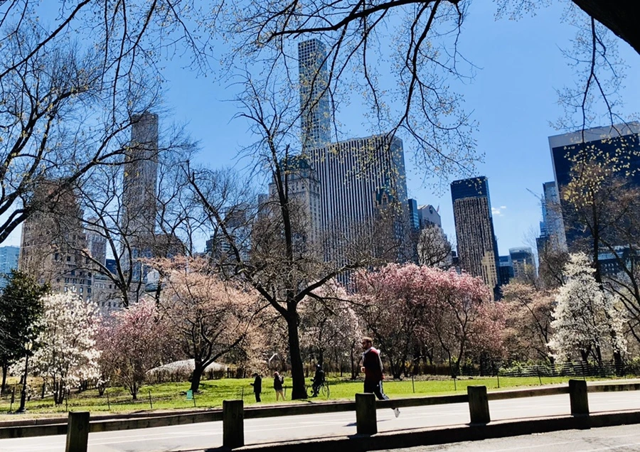 IMG_6642.jpg?type=w966