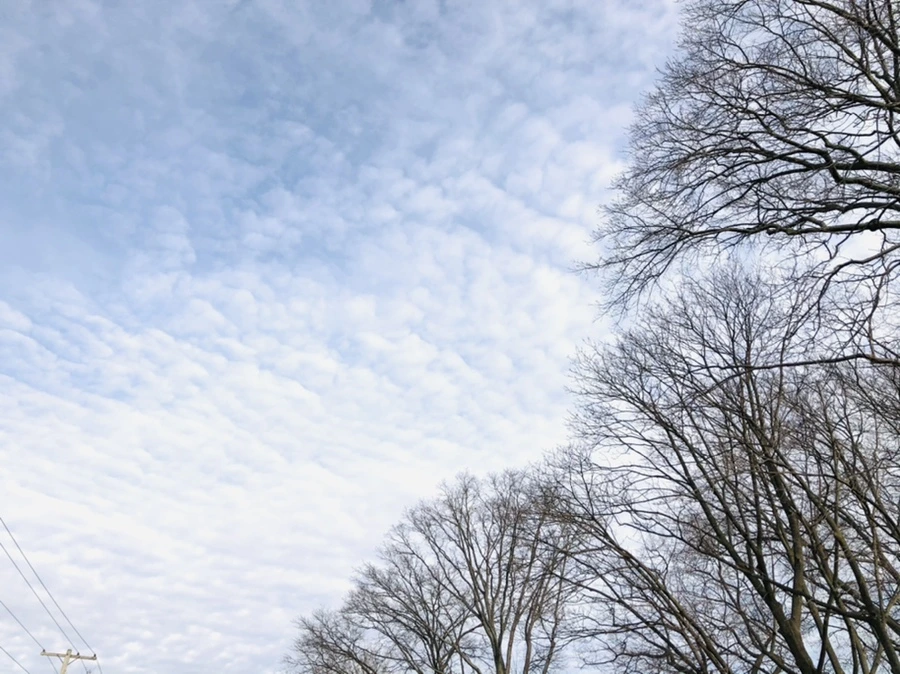 IMG_8451.jpg?type=w966