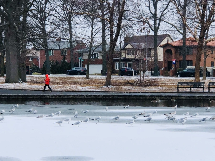 IMG_6158.jpg?type=w966