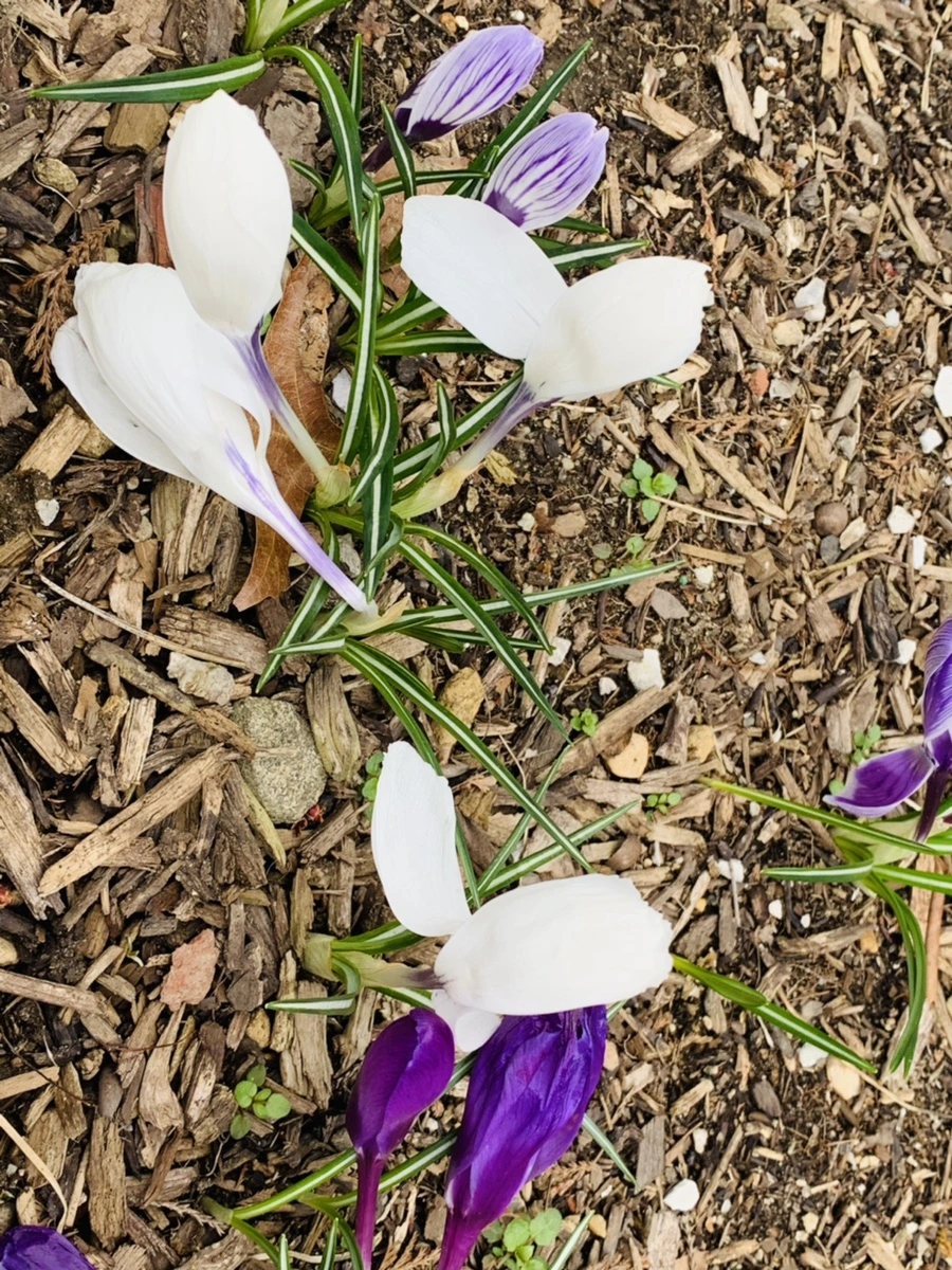 IMG_6635.jpg?type=w966