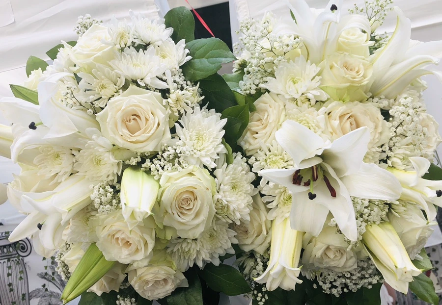 IMG_7425.jpg?type=w966