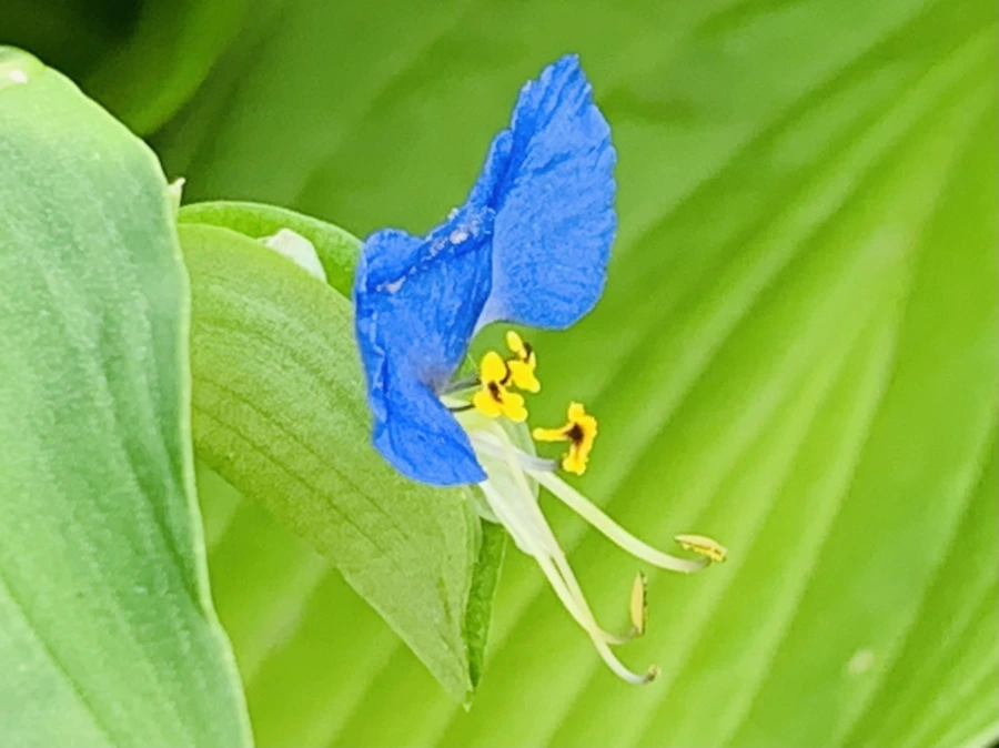 IMG_5627.jpg?type=w966