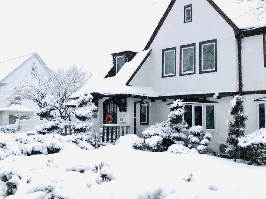 IMG_1010.jpg?type=w966