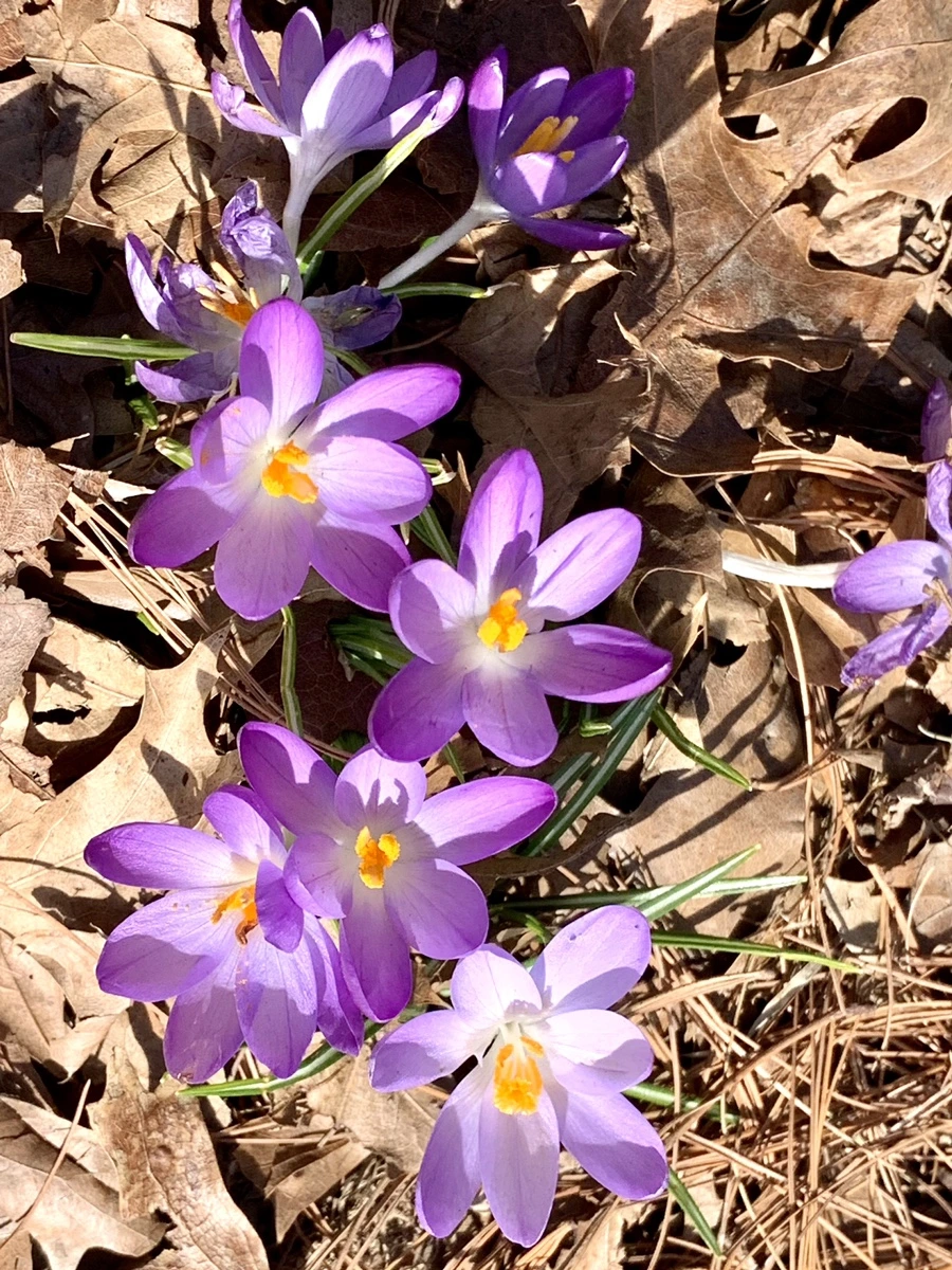 IMG_9642.jpg?type=w966