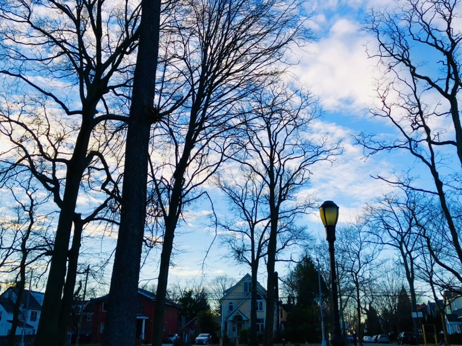 IMG_4909.jpg?type=w966