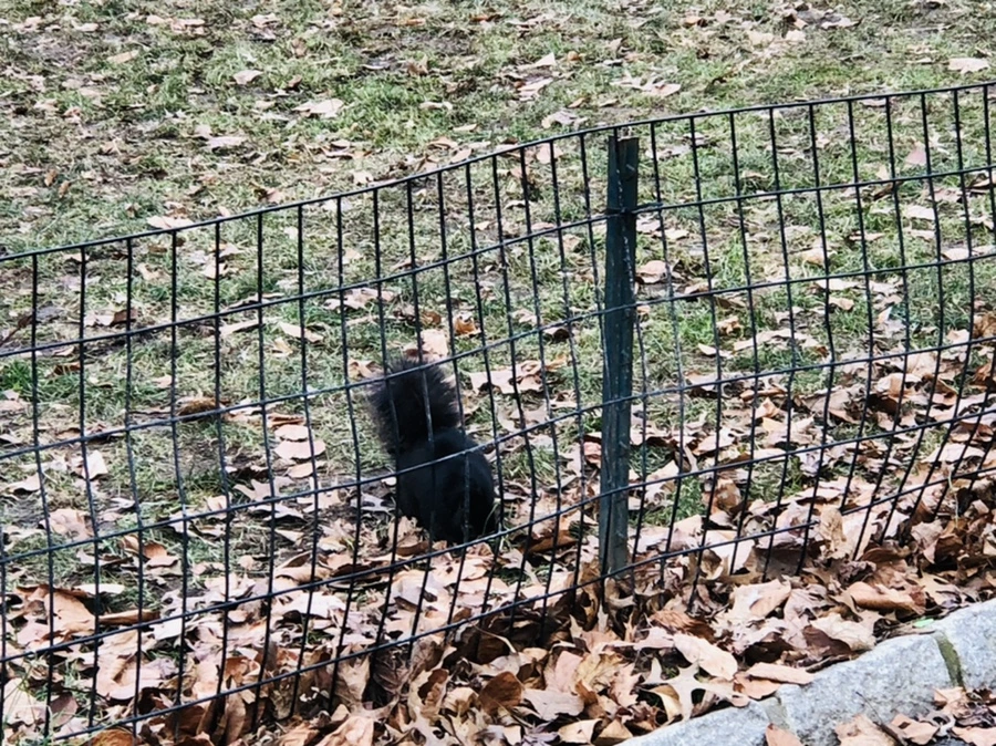 IMG_2415.jpg?type=w966