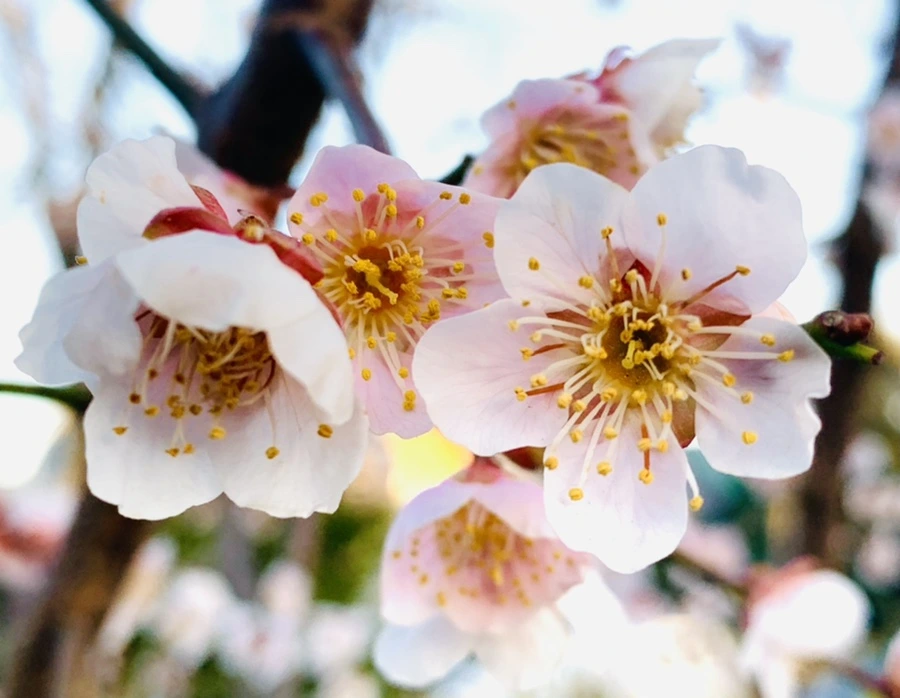 IMG_2227.jpg?type=w966