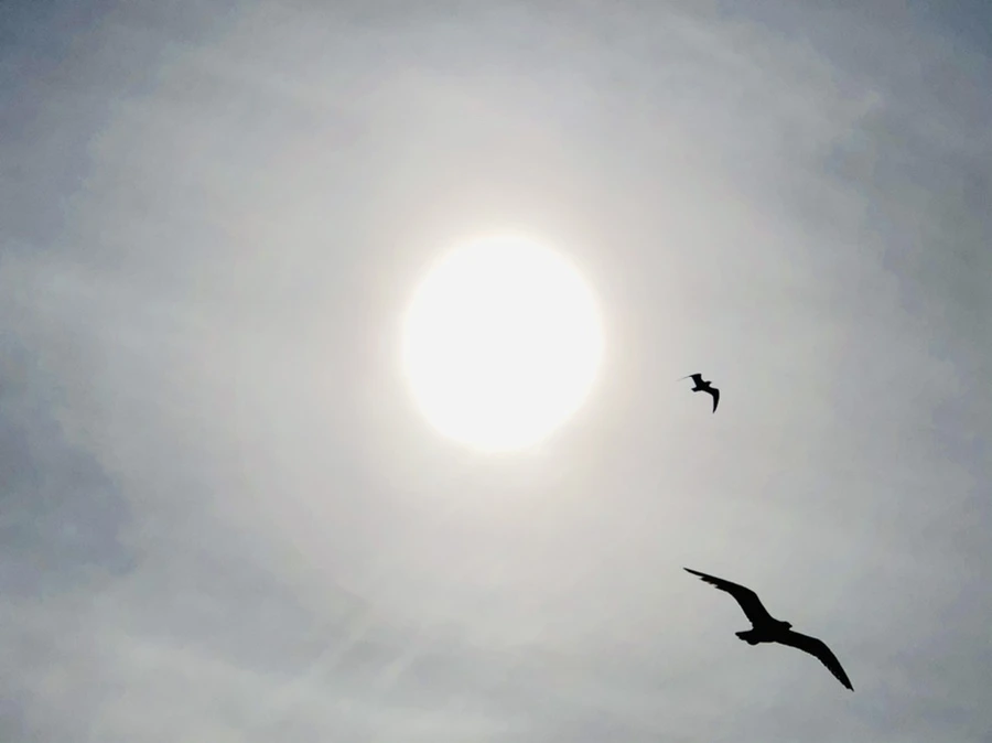 IMG_3134.jpg?type=w966