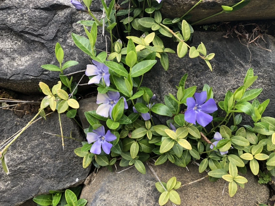 IMG_6537.jpg?type=w966