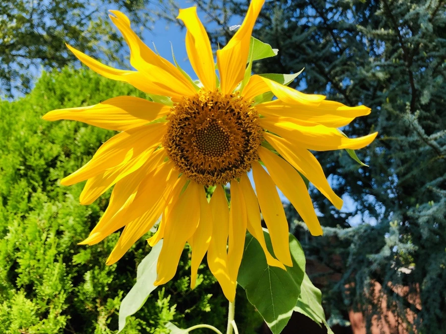 IMG_9694.jpg?type=w966