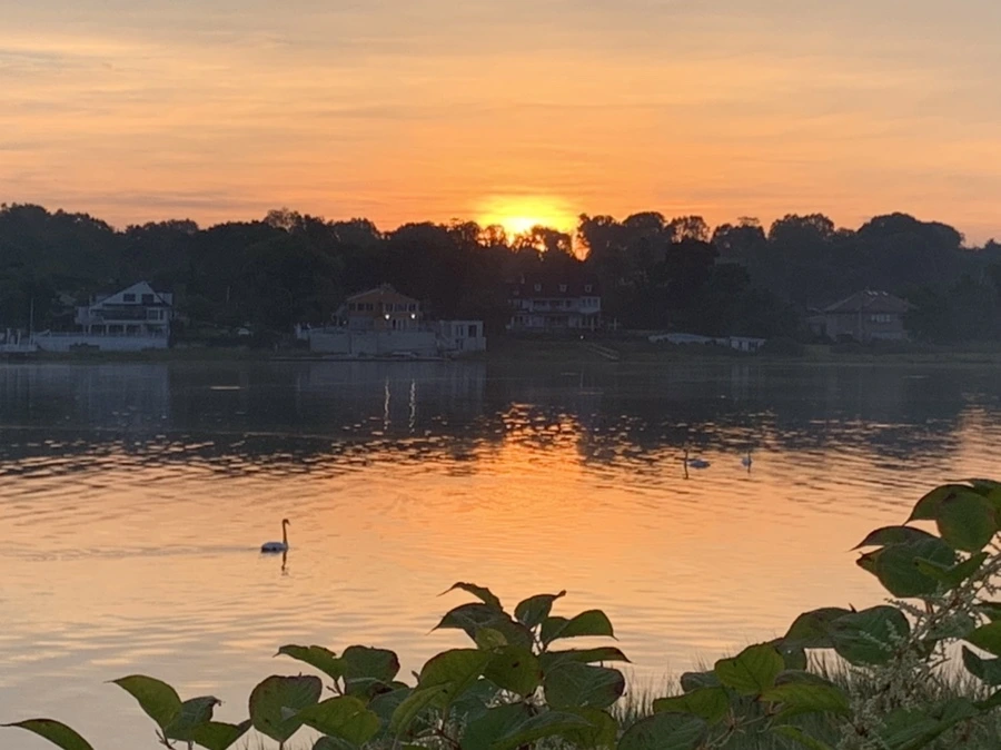 IMG_6825.jpg?type=w966