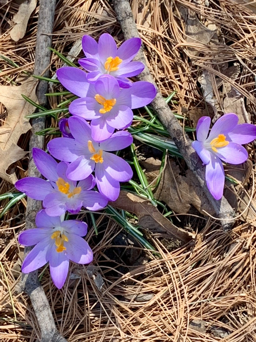 IMG_9745.jpg?type=w966