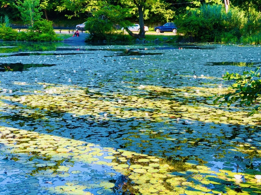 IMG_3802.jpg?type=w966