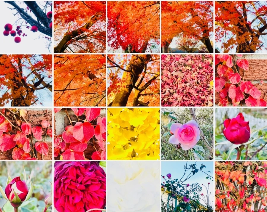 IMG_6069.jpg?type=w966