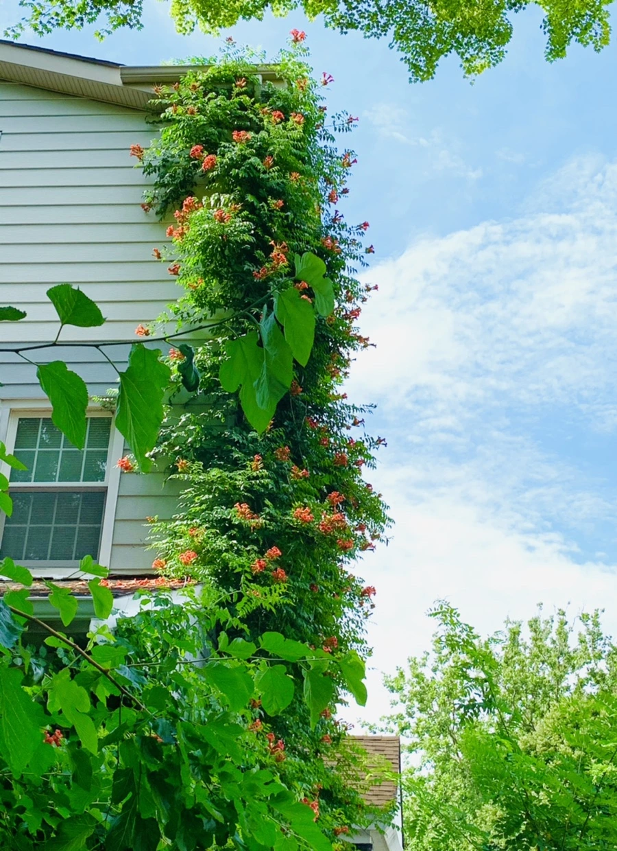 IMG_9614.jpg?type=w966