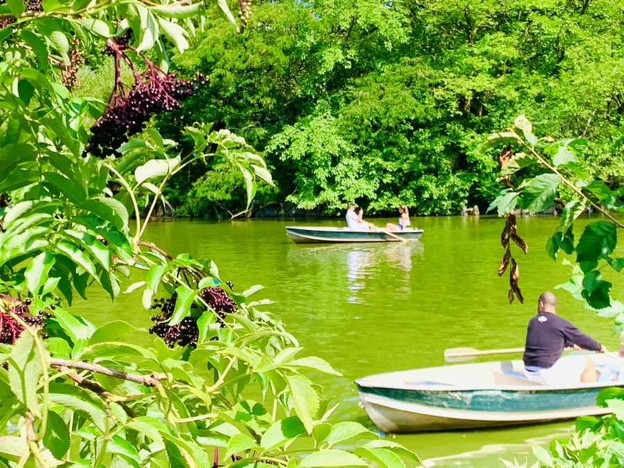 IMG_4489.jpg?type=w966