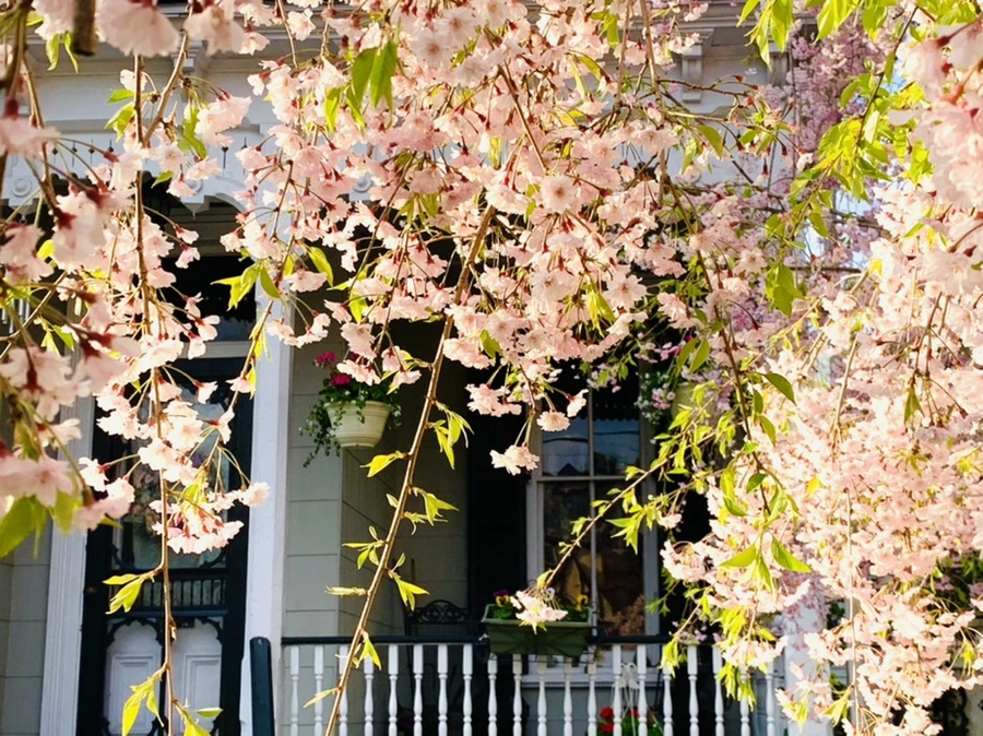 IMG_3679.jpg?type=w966