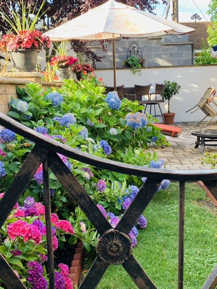 IMG_8941.jpg?type=w966