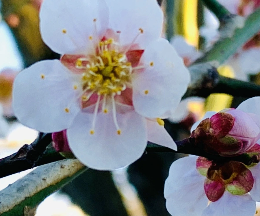 IMG_0808.jpg?type=w966