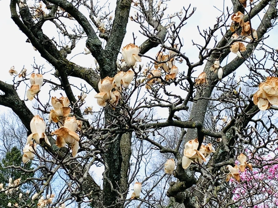 IMG_7181.jpg?type=w966