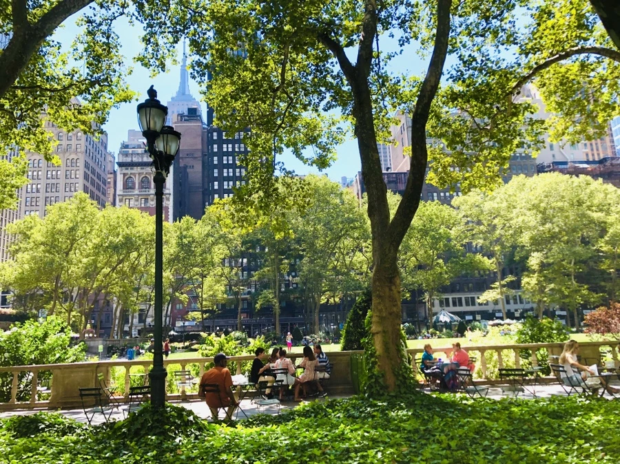 IMG_8186.jpg?type=w966