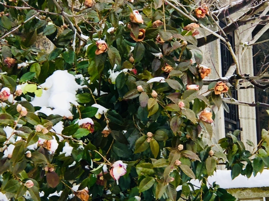 IMG_9076.jpg?type=w966