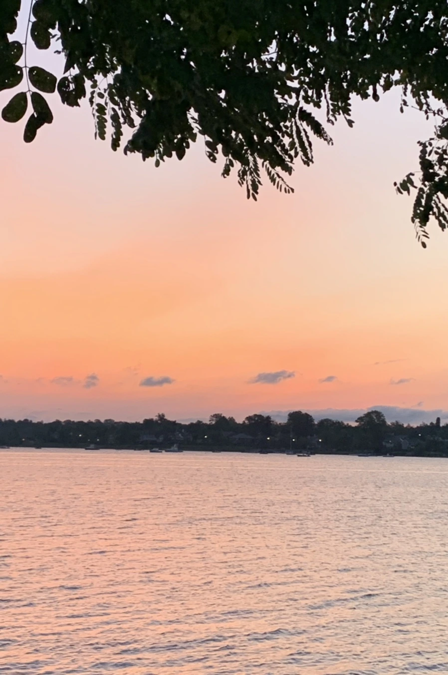 IMG_5337.jpg?type=w966