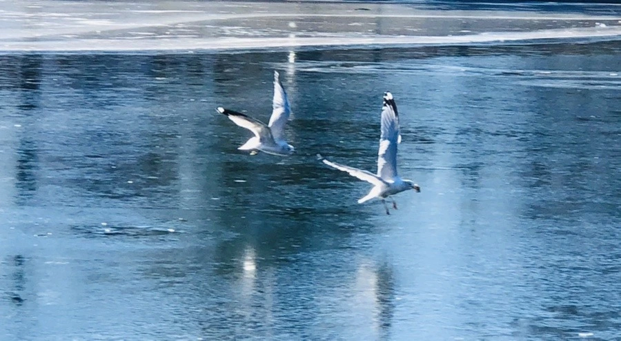 XOq-g9BMImBsRayZfpWXF7FUgUk