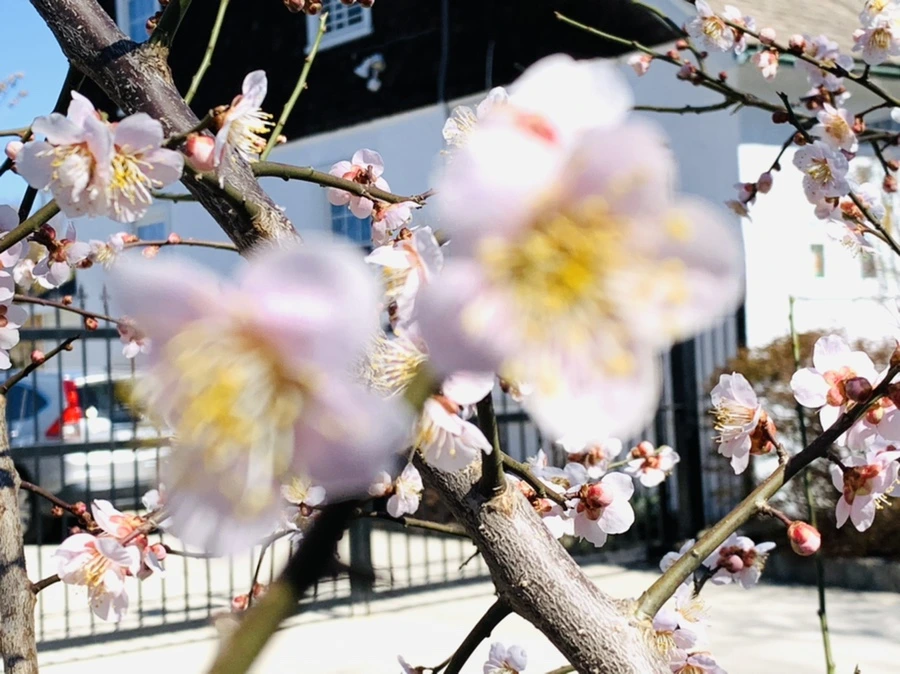 IMG_1311.jpg?type=w966