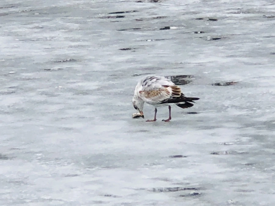 IMG_6380.jpg?type=w966