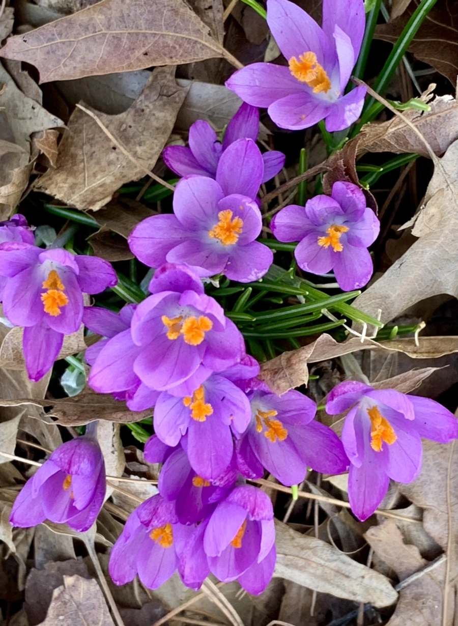 IMG_0172.jpg?type=w966