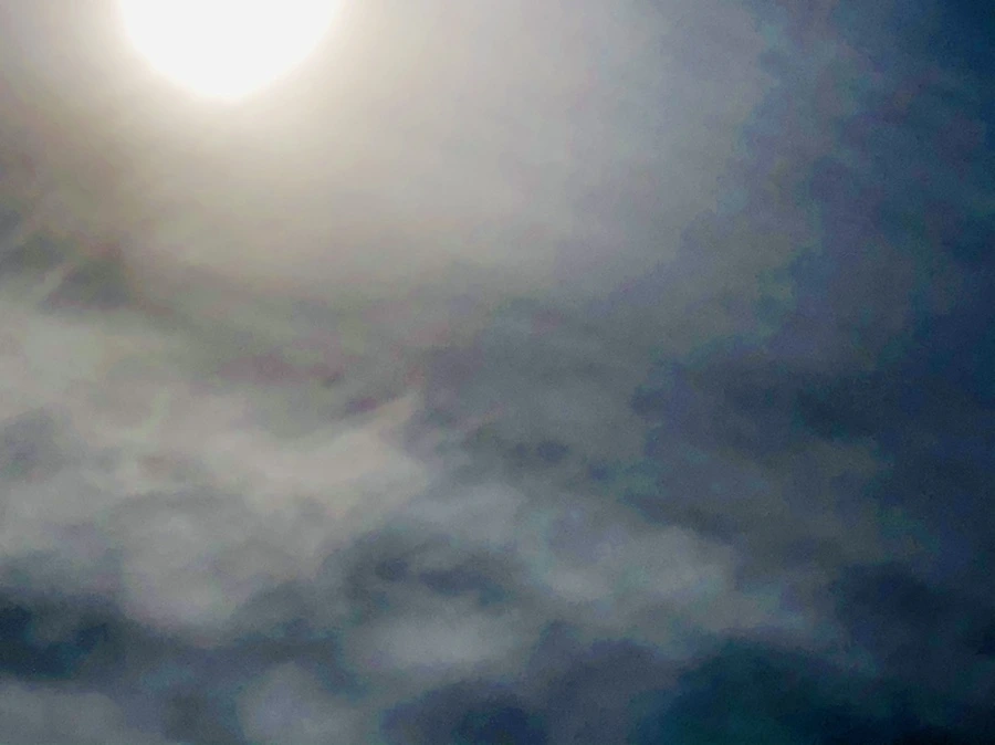 IMG_3135.jpg?type=w966