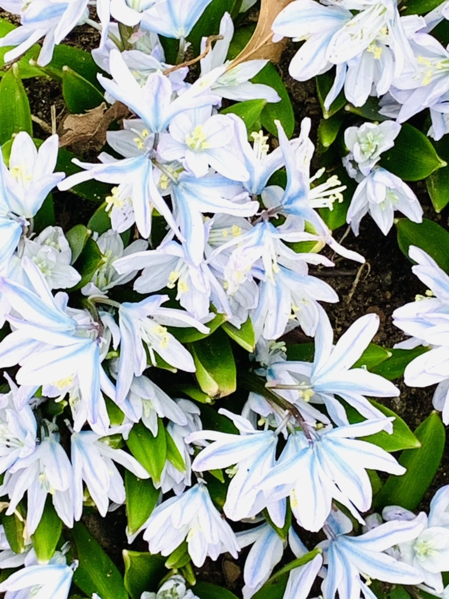 IMG_3521.jpg?type=w966