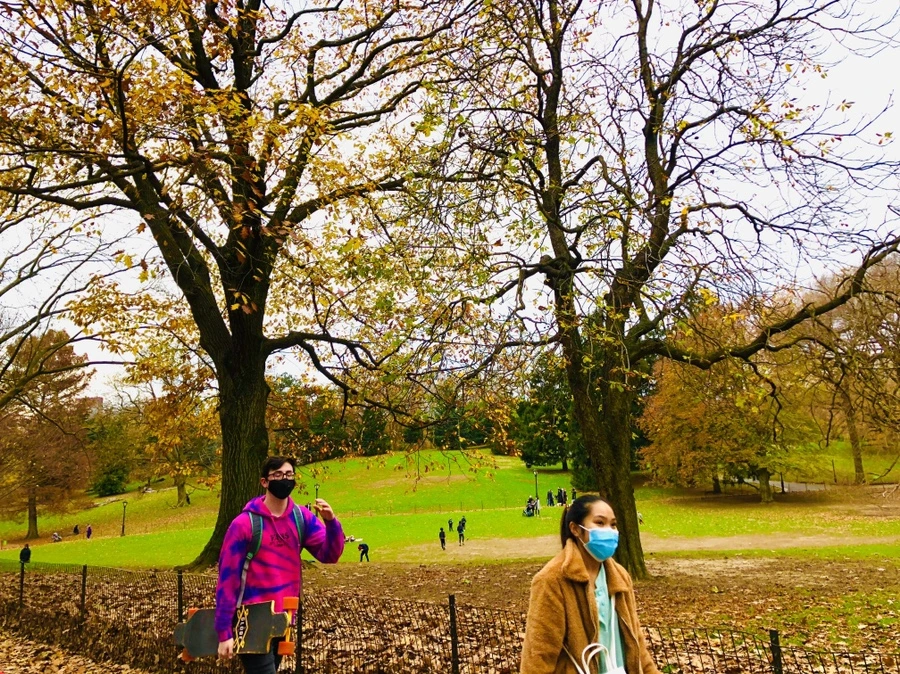 IMG_5378.jpg?type=w966