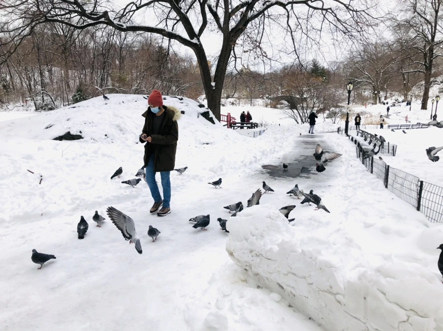 IMG_9119.jpg?type=w966